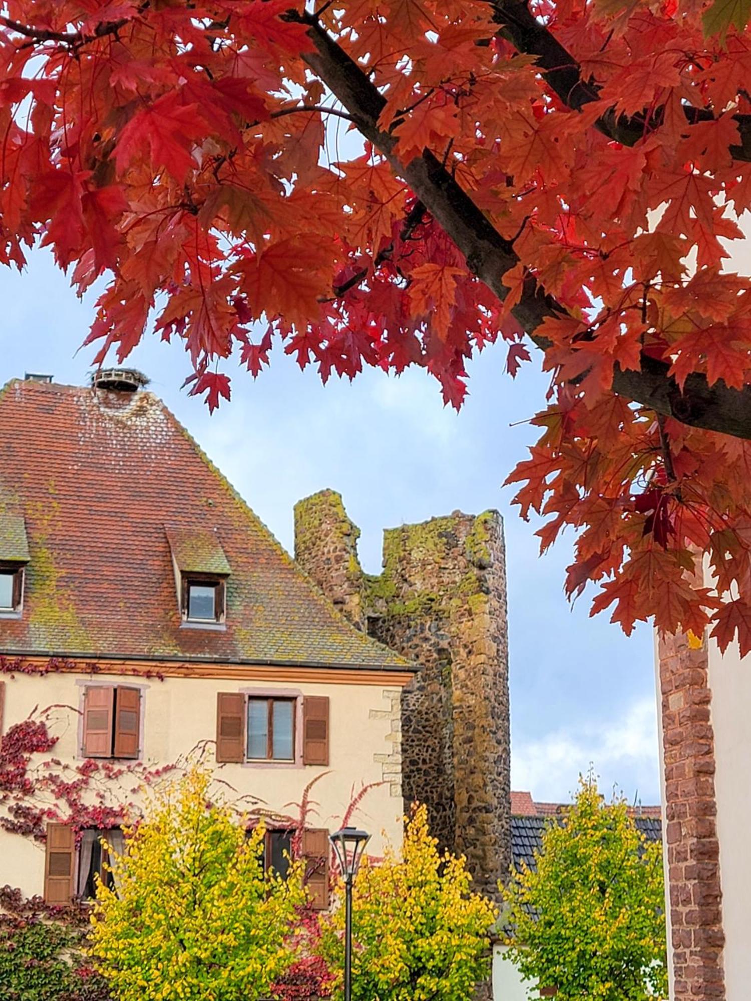 "La Vigne Dort" Cocon Romantique Herrlisheim-près-Colmar Exterior photo